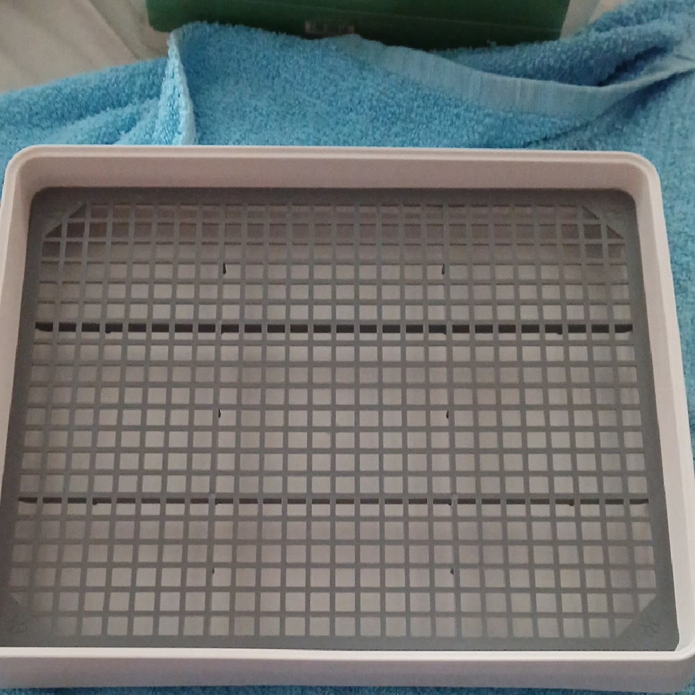 Gray and White Animal Potty Tray